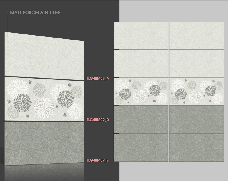 TLG 48M09A - 48M09D - 48M09B