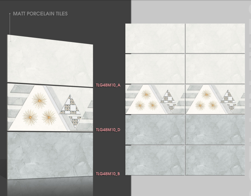 TLG 48M10A - 48M10D - 48M10B